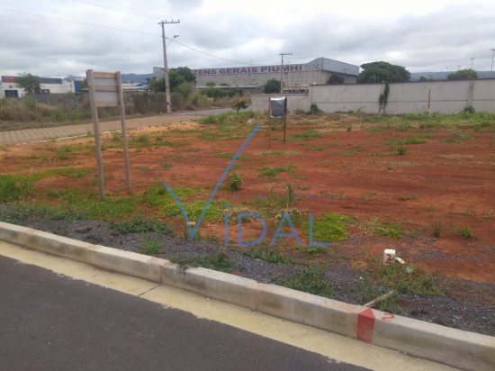 lote-venda-b-aeroporto-428387