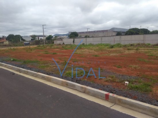 lote-venda-b-aeroporto-428388