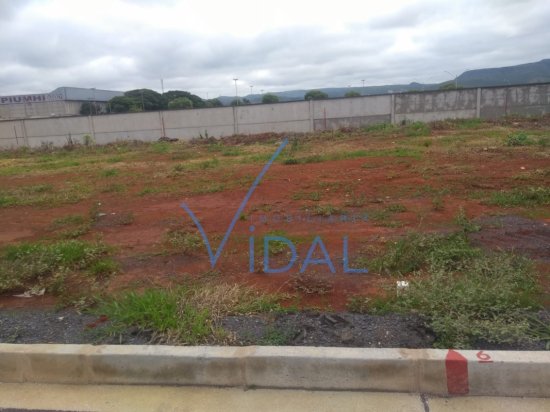 lote-venda-b-aeroporto-428389