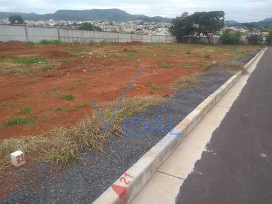 lote-venda-b-aeroporto-428375