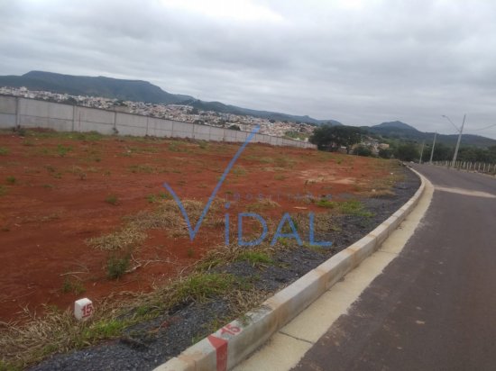 lote-venda-b-aeroporto-428377